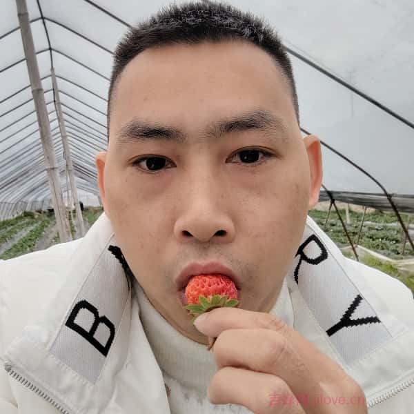 嘉兴征婚相亲网
